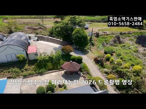 경남 흑염소농장 방목흑염소 2026 드론촬영 영상
