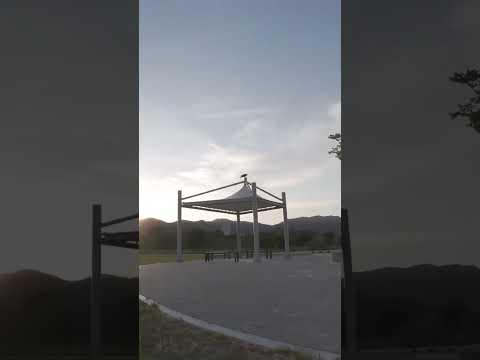 Crow Filmed by DJI Avata 2 Drone 🐦🚁 Cuervo filmado con dron | Corbeau filmé par drone #DroneShot
