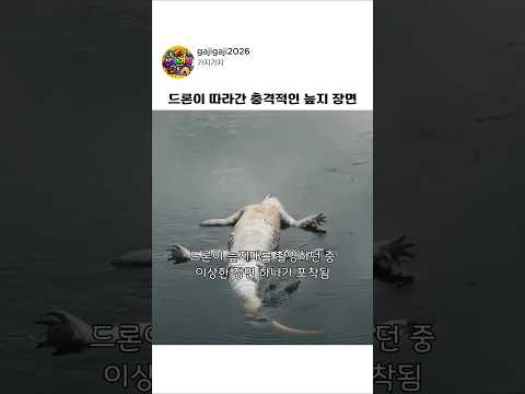 드론이 따라간 충격적인 늪지 장면