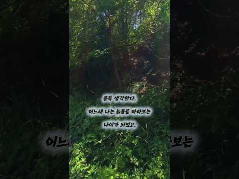 드론 슾 촬영
