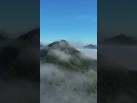 [드론촬영] 옥정호 운무_MAVIC3PRO/Okjeong Lake Mist_MAVIC3PRO