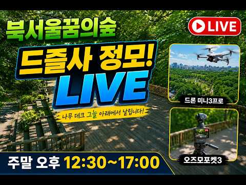 드론 드즐사 정모 라이브4!(2026.7.4.)