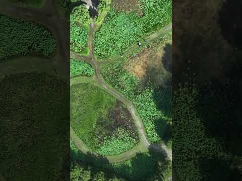 [드론촬영] 당진시 합덕제수변생태공원_MAVIC3PRO/Hapdeok Jesbyeon Ecological Park, Dangjin-si_MAVIC3PRO