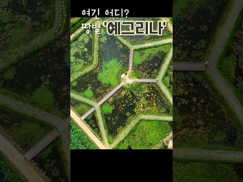 땅에 떨어진 별 #연꽃테마파크 #관곡지 #연꽃 #연꽃축제 #드론촬영 #시흥
