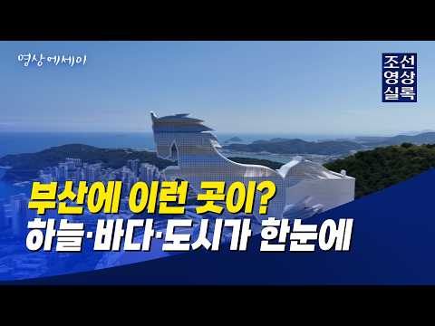 하늘을 달리는 말, 천마산에 서다…부산 새 전망대 드론 촬영 #천마산전망대 #부산천마산 #부산여행