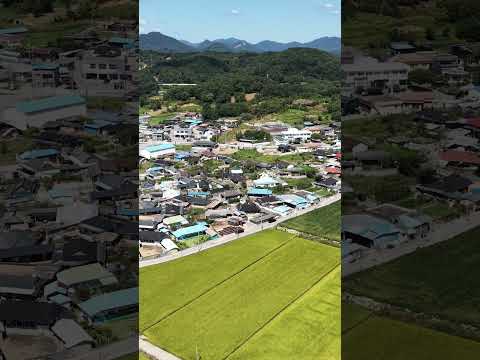 [드론촬영] 유등면 소재지 황금들판_MAVIC3PRO/Yudeung-myeon Location Golden Field_MAVIC3PRO #드론영상