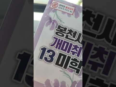 공식적으로는 '반려견출입금지' '드론촬영금지(문의바람)'라고 되어 있지만 가능해보였어요! 더 자세한 사항은 봉천사로 문의해보세요! #경북 #문경 #봉천사 #개미취 #반려동물동반