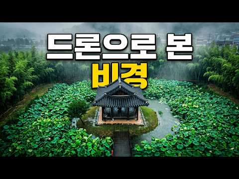 빗속에 운치를 더하는 죽녹원 후문, 고즈넉한 독수정 드론 비행