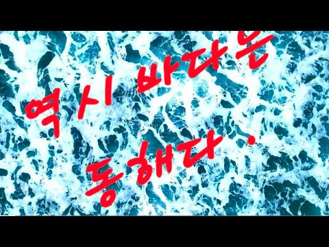 [동해안 파도 영상.] 아무도 없는 동해 바다에 파도를 드론뷰로 담아 보았습니다