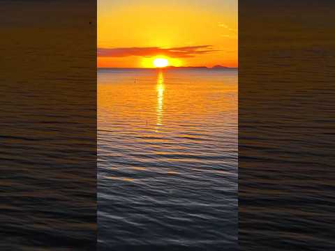 서천 갯벌의 해넘이 #beach #장항송림 #서천갯벌 #해넘이 #드론촬영