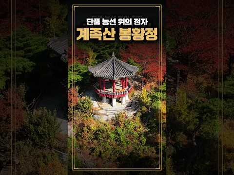 계족산 봉황정 단풍｜대전 대덕구 능선 전망 정자 드론 영상 #shorts