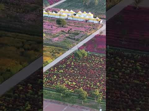 [드론촬영] 호국의병의숲/친수공원_MAVIC3PRO/Forest of Patriotic Militias / Waterside Park_MAVIC3PRO