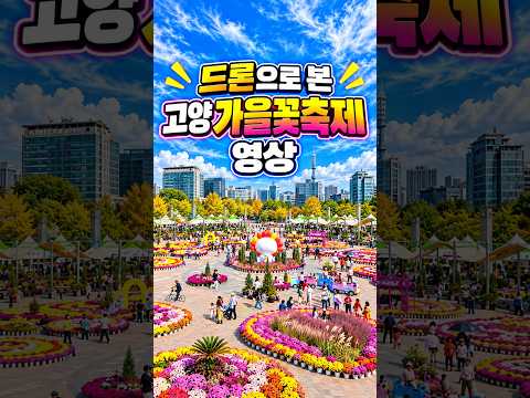 [2026 고양가을꽃축제 드론 영상] 와! 하늘에서 보니 더 아릅답다! #고양꽃축제 #드론 @일산