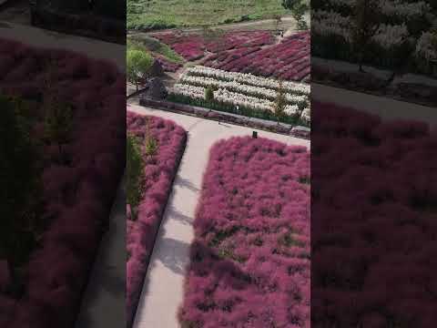 [드론촬영] 호국의병의숲/친수공원_MAVIC3PRO/Forest of Patriotic Militias / Waterside Park_MAVIC3PRO
