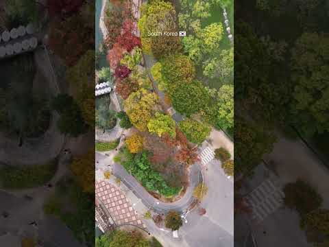 Incheon Grand Park. #인천대공항 #인천가을 #가을단풍 #호수산책길 #드론촬영 #항공촬영 #감성영상 #IncheonGrandPark #AutumnColors