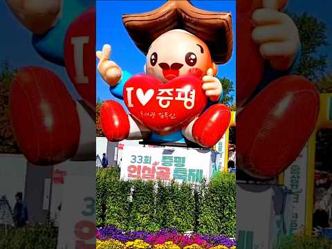 [﻿인삼] 맛도 좋고 인심도 좋은 증평 인삼골 축제#드론 #인삼축제 #인삼 #드론이간다 #증평군