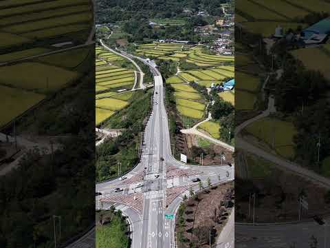 [드론촬영] 하동군 방화사거리 황금들판_MAVIC4PRO/Hadong-gun Banghwa Intersection Golden Field_MAVIC4PRO